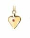 Pendentif cendre en or 14 carat 'Cœur' avec rubis