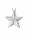Bijou Cendres Pendentif en Argent 'Etoile' avec Diamant 0.13 CRT (Avec Collier 42CM)