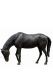 Sculpture commémorative cheval en bronze - disponibilité limitée
