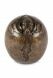 Mini-urne en bronze chien 'Toujours avec moi'