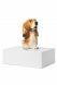 Urne-animal 'Normand Basset hound'