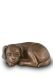 Urne pour chien « Chien endormi »