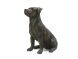 Urne pour chien « Jack Russell »