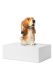 Urne-animal « Normand Basset hound »