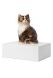Urne-animal « Chat Persan »