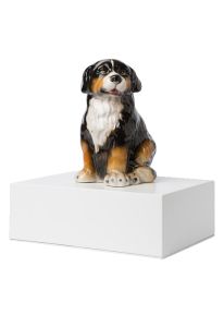 Urne-animal « Bouvier bernois »