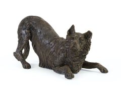 Urne pour chien « Border Collie »