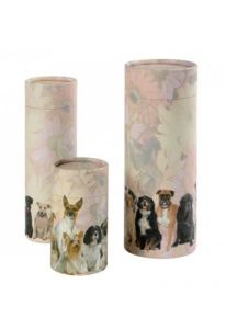 Diffuseur de cendres pour chiens