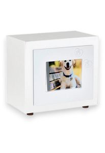 Urne pour animal avec cadre photo 'Fido Zampa', cœurs et empreintes de pattes - blanc