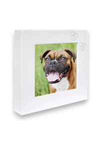 Urne pour animal avec cadre photo 'Quadro Zampa', cœurs et empreintes de pattes - blanc