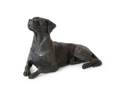 Urne pour chien « Rhodesian Ridgeback »