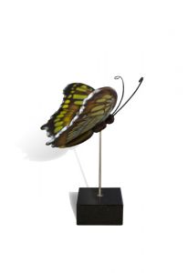 Mini-urne funéraire papillon