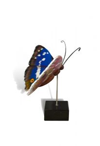 Mini-urne funéraire papillon