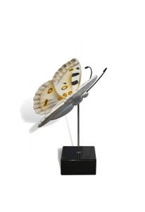 Mini-urne funéraire papillon 'Apollon'