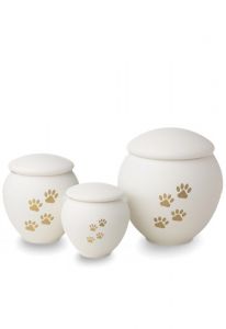 Urne-animal blanc avec impression de pattes or