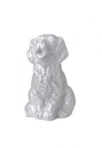 Urne funéraire pour chien blanc brillant