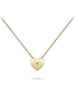 Pendentif mémoire cœur plaqué or jaune avec chaîne
