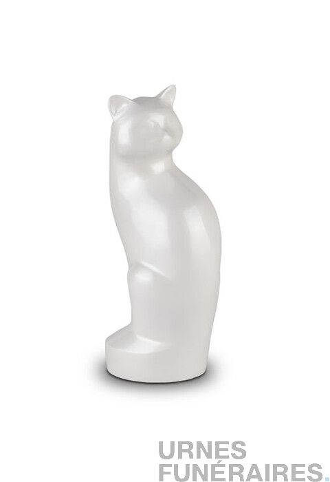 HLGQ Urne pour Cendres de Chat, Urnes de créemande commémorative de la  Forme de Chat, Urnes décoratives Artisanales, pour Chat funéraire Chat  urn,Blanc,500ML, White Blanc : : Animalerie